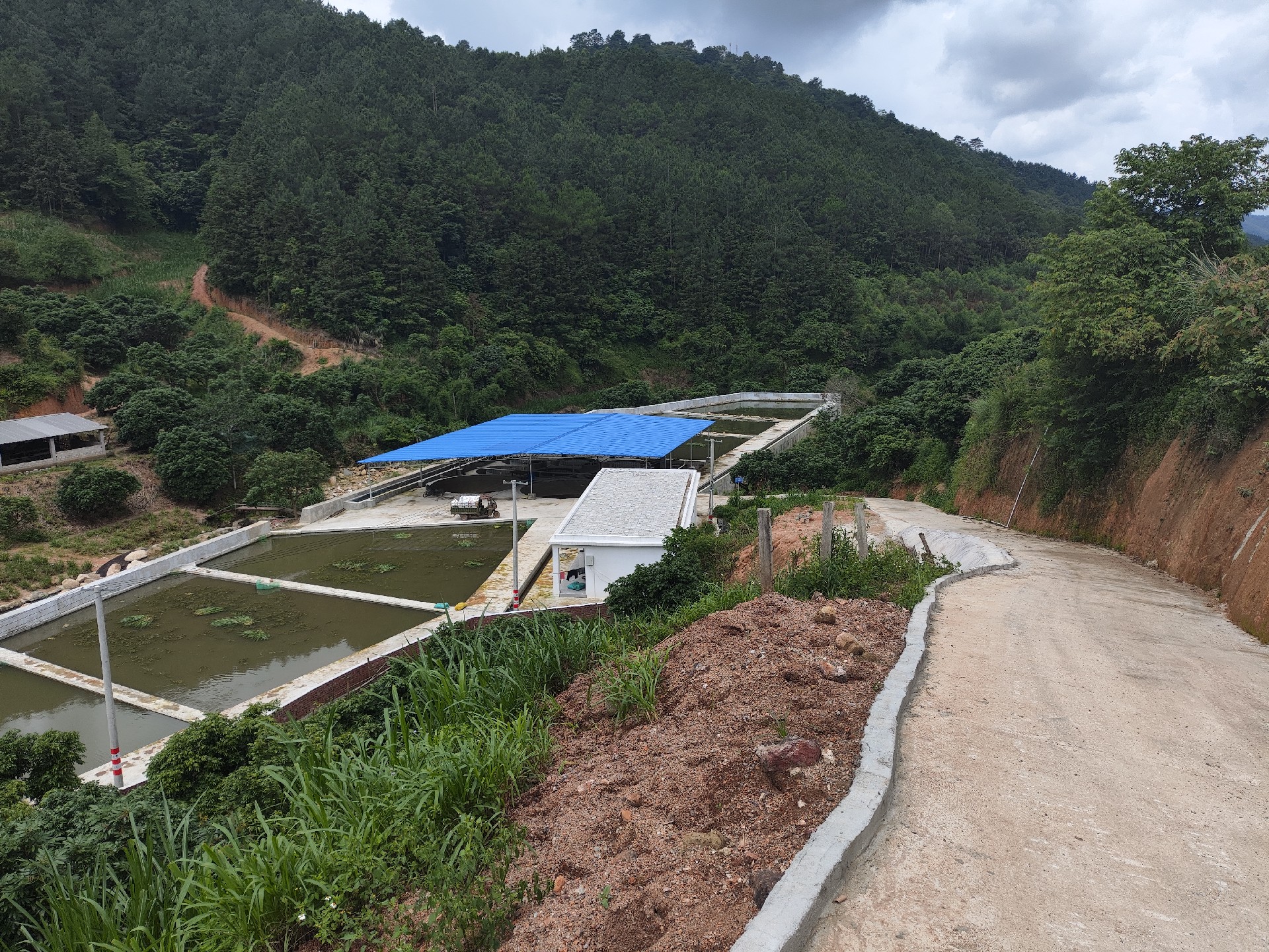 2023年平山镇山秀村淡水鱼苗孵化场建设项目（村集体经济）-完成图片2.jpg